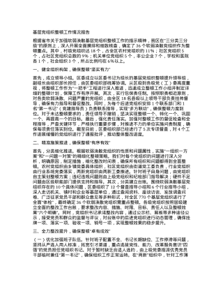 基层X组织整顿工作情况报告.docx