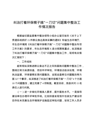 纠治打着环保幌子搞“一刀切”问题集中整治工作情况报告.docx