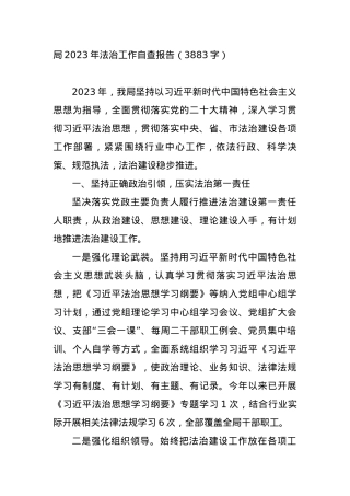 局2023年法治工作自查报告.docx