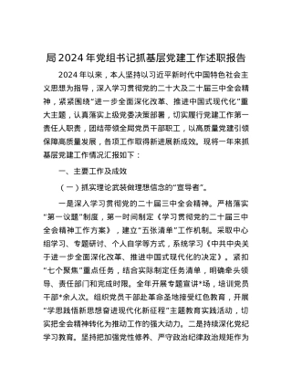 局2024年X组书记抓基层X建工作述职报告.docx