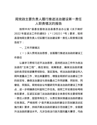 局X政主要负责人履行推进法治建设第一责任人职责情况的报告.docx