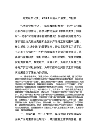 局X组书记关于2023年度从严治X工作报告.docx