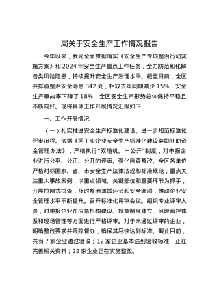 局关于安全生产工作情况报告.docx