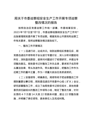 局关于市委巡察组安全生产工作开展专项巡察整改情况的报告.docx