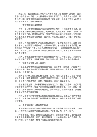 某市 2024 年城市精细化管理工作报告.docx