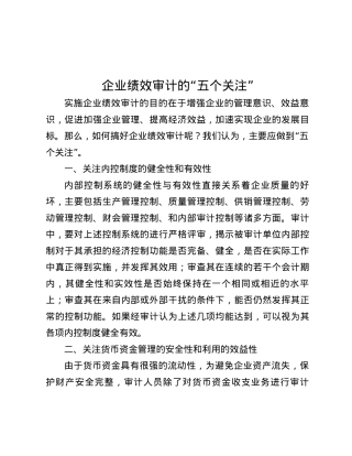 企业绩效审计的“五个关注”.docx