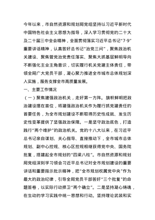 市自然资源和规划局党组党组2024年落实全面从严治党主体责任情况报告.docx