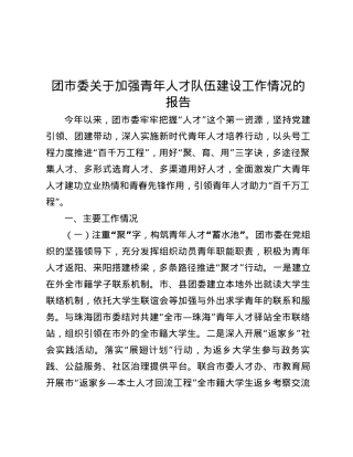 团市委关于加强青年人才队伍建设工作情况的报告.docx