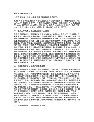 重点项目建设情况汇报.docx