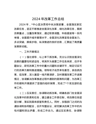 2024年改革工作总结.docx