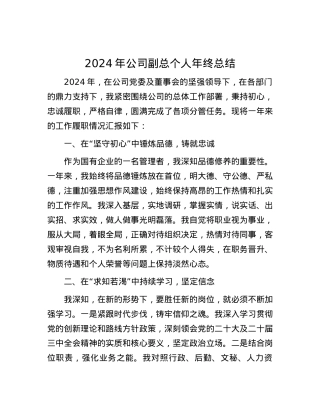 2024年公司副总个人年终总结.docx