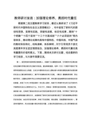 教师研讨发言：加强理论修养、勇担时代重任.docx