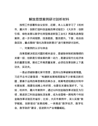 解放思想案例研讨剖析材料.docx