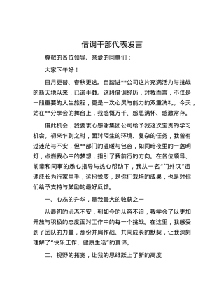 借调干部代表发言.docx
