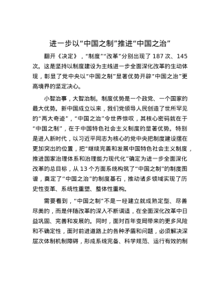 进一步以“中国之制”推进“中国之治”.docx