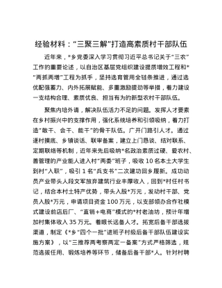经验材料：“三聚三解”打造高素质村干部队伍.docx