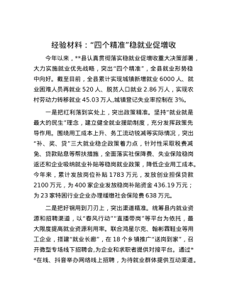 经验材料：“四个精准”稳就业促增收.docx