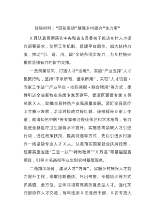 经验材料：“四轮驱动”建强乡村振兴“生力军”.docx