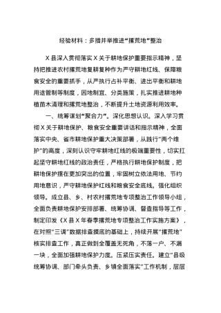 经验材料：多措并举推进“撂荒地”整治.docx