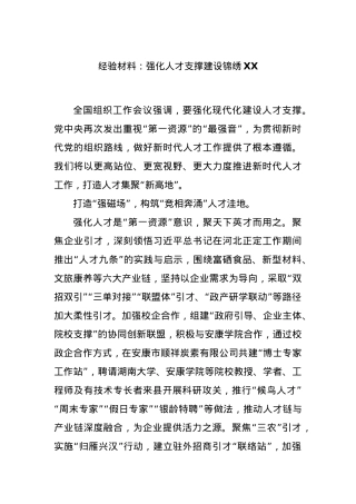 经验材料：强化人才支撑建设锦绣XX.docx