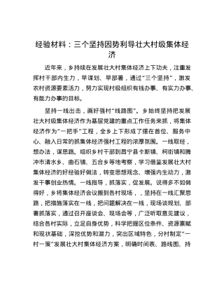 经验材料：三个坚持因势利导壮大村级集体经济.docx