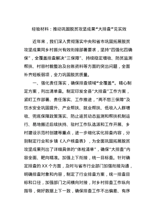 经验材料：推动巩固脱贫攻坚成果“大排查”见实效.docx