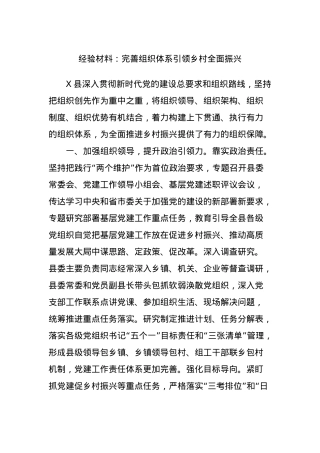 经验材料：完善组织体系引领乡村全面振兴.docx
