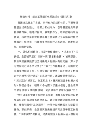 经验材料：织密基层组织体系激活乡村振兴引擎.docx