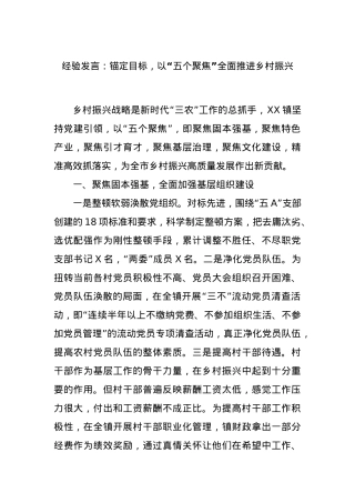 经验发言：锚定目标，以“五个聚焦”全面推进乡村振兴.docx