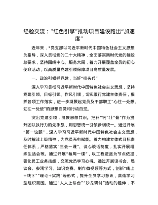 经验交流：“红色引擎”推动项目建设跑出“加速度”.docx