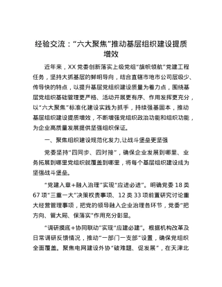 经验交流：“六大聚焦”推动基层组织建设提质增效.docx