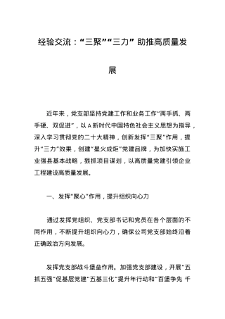 经验交流：“三聚”“三力”助推高质量发展.docx