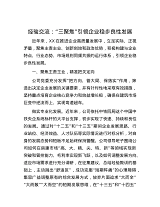 经验交流：“三聚焦”引领企业稳步良性发展.docx