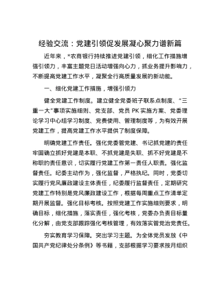 经验交流：X建引领促发展 凝心聚力谱新篇.docx