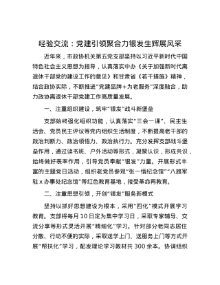 经验交流：X建引领聚合力  银发生辉展风采.docx