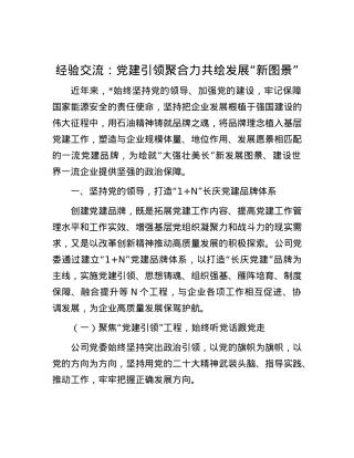 经验交流：X建引领聚合力 共绘发展“新图景”.docx