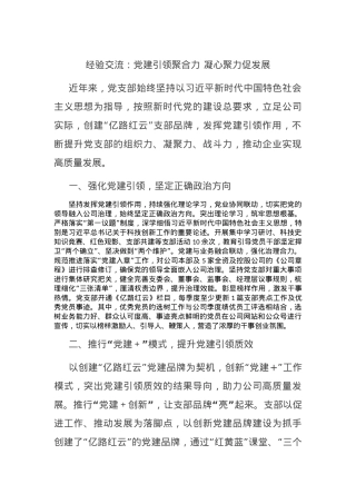 经验交流：X建引领聚合力 凝心聚力促发展.docx