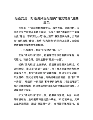 经验交流：打造清风班组 擦亮“阳光物资”清廉底色.docx