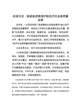 经验交流：砥砺奋进精准护航经济社会高质量发展.docx