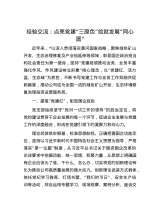 经验交流：点亮X建“三原色” 绘就发展“同心圆”.docx