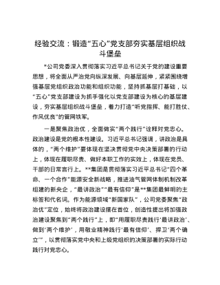 经验交流：锻造“五心”X支部 夯实基层组织战斗堡垒.docx