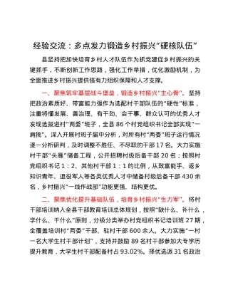 经验交流：多点发力锻造乡村振兴“硬核队伍”.docx