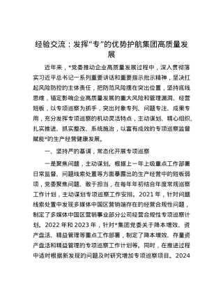 经验交流：发挥“专”的优势 护航集团高质量发展.docx