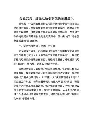 经验交流：建强红色引擎 燃亮奋进星火.docx