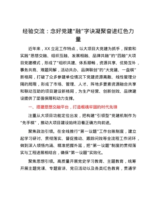经验交流：念好X建“融”字诀 凝聚奋进红色力量.docx