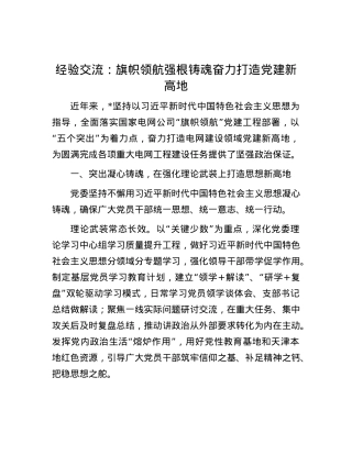 经验交流：旗帜领航 强根铸魂 奋力打造X建新高地.docx