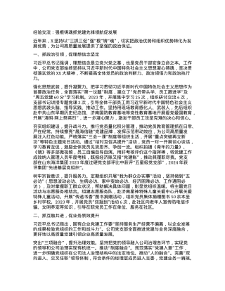 经验交流：强根铸魂抓X建 先锋领航促发展.docx