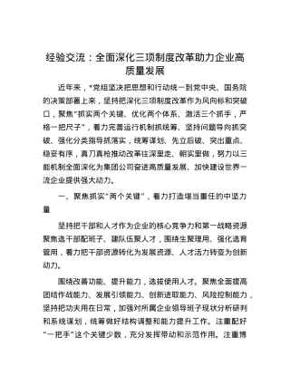 经验交流：全面深化三项制度改革 助力企业高质量发展.docx