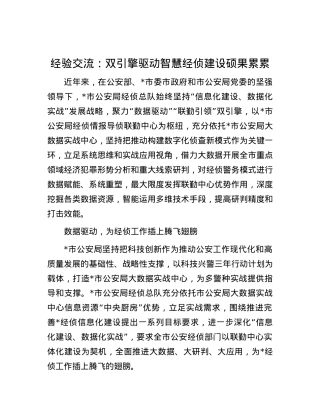 经验交流：双引擎驱动智慧经侦建设硕果累累.docx