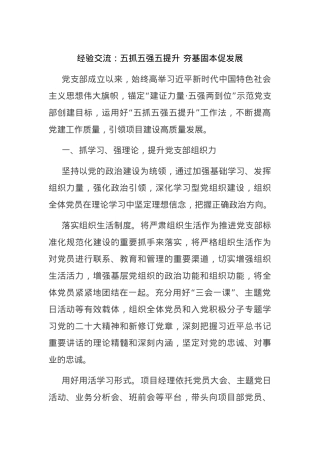 经验交流：五抓五强五提升 夯基固本促发展.docx